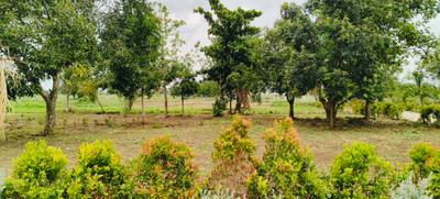 Image of 931 Sq.ft 2 BHK Farm House for sale in Shankarpally, Hyderabad for Rs. 16022081