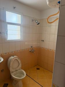 Image of 1800 Sq.ft 3 BHK Apartment / Flat for rent in Sobha Rose, Whitefield, Bengaluru for Rs. 62000