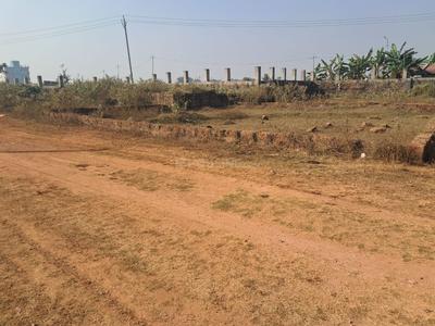 Hansapal Plot View 2