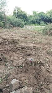 Image of 1750 Sq.ft Residential Plot / Land for sale in Vazhu Thareddy, Viluppuram for Rs. 4100000