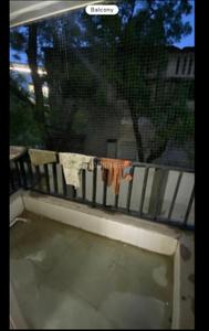 Balcony Image of 1500 Sq.ft 2 BHK Apartment / Flat for rent in Paldi Ahmedabad for Rs. 21500