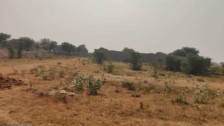 Jhalana, Malviya Nagar Main Image 1