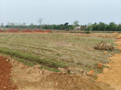 Image of 1500 Sq.ft Residential Plot / Land for sale in Jatni, Bhubaneswar for Rs. 1650000