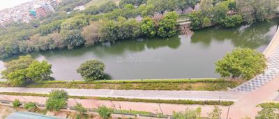 Balcony Image of 600 Sq.ft 1 BHK Apartment / Flat for rent in Vikram Golf View Condos, Sector 19 Dwarka New Delhi for Rs. 35000