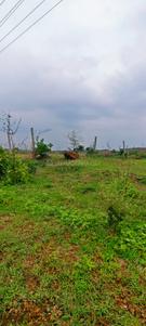 Image of 130680 Sq.ft Residential Plot / Land for sale in Maheshwaram, Hyderabad for Rs. 50000000