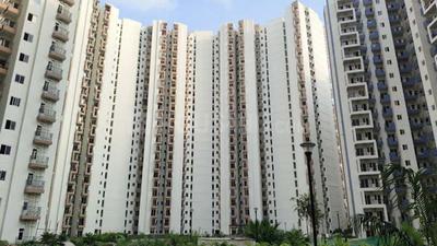 Image of 805 Sq.ft 1 BHK Apartment / Flat for sale in Amrapali Dream Valley, Noida Extension, Greater Noida for Rs. 6100000