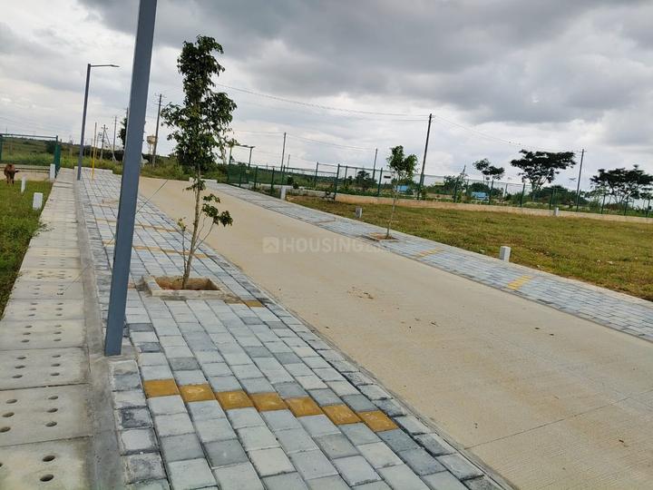 Yelwala Main Image 1