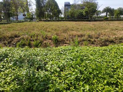 Image of 1089 Sq.ft Residential Plot / Land for sale in Reliance Met City, Yakubpur, Jhajjar for Rs. 10890000