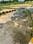 Sarnath Main Image 1