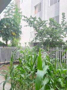 Image of 4731 Sq.ft 4 BHK Villa for sale in Godrej Golf Links Villas, Jaypee Greens, Greater Noida for Rs. 85000000