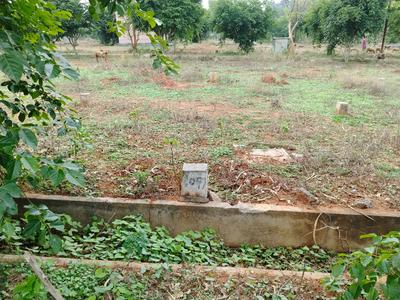 Image of 600 Sq.ft Residential Plot / Land for sale in Surya City, Bommasandra, Bengaluru for Rs. 360000