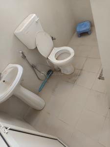 Bathroom Image of 1550 Sq.ft 2 BHK Builder Floor for rent in Sector 17 Panchkula for Rs. 25000