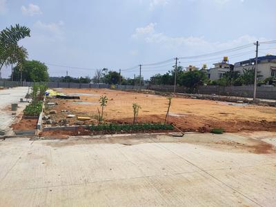 Thyme Park Plot View 1
