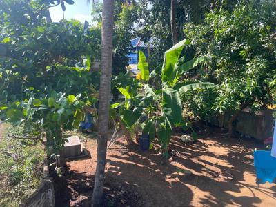 Image of 1000 Sq.ft 2 BHK Independent House for sale in Kannadi-II, Palakkad for Rs. 3300000