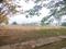 Paradise Attibele Road Plot View 2