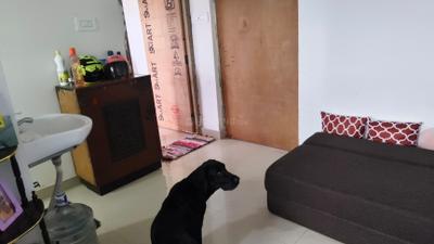 Living Room Image of 470 Sq.ft 1 BHK Apartment / Flat for sale in Panihati Kolkata for Rs. 1650000