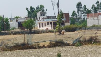 Image of 1000 Sq.ft Residential Plot / Land for sale in Mohanlalganj, Lucknow for Rs. 3000000
