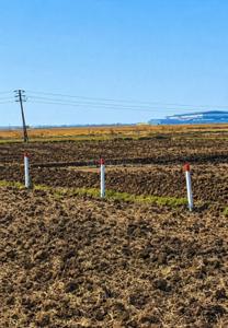 Dighode Plot View 1