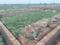 AIIMS CITY Main Image 1