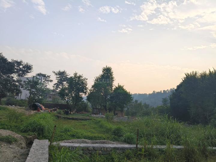 Sahastradhara Main Image 1