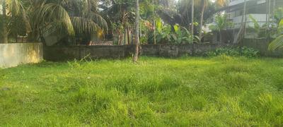 mallu broker Plot View 2