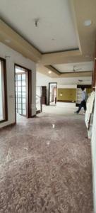 Hall Image of 6000 Sq.ft 7 BHK Independent House for rent in Sector 52 Noida for Rs. 250000