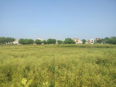 Theta II Plot View 2