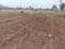 Uruli Kanchan Plot View 2
