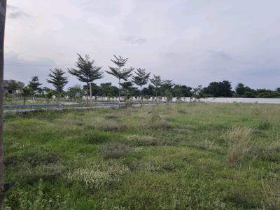 Image of 1917 Sq.ft Residential Plot / Land for sale in Thirumazhisai, Chennai for Rs. 4476000