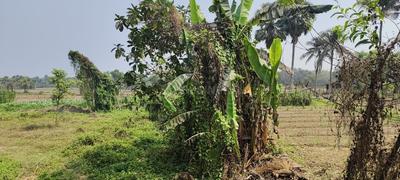 Uluberia Plot View 3