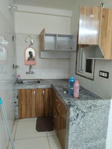 Kitchen Image of 850 Sq.ft 2 BHK Builder Floor for rent in Sector 57 Gurgaon for Rs. 28000