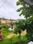 Marnamikatte Plot View 2