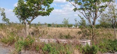 Image of 1500 Sq.ft Residential Plot / Land for sale in AVS Deflora, S Mudhuganapalli, Hosur for Rs. 1950000