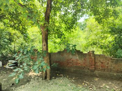 Image of 300 Sq.ft Residential Plot / Land for sale in Sigma 1, Greater Noida for Rs. 40000000