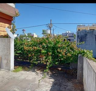 Image of 1100 Sq.ft 2 BHK Independent House for sale in Bijalpur, Indore for Rs. 8500000