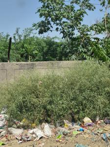 Image of 13000 Sq.ft Residential Plot / Land for sale in Mohanlalganj, Lucknow for Rs. 45500000