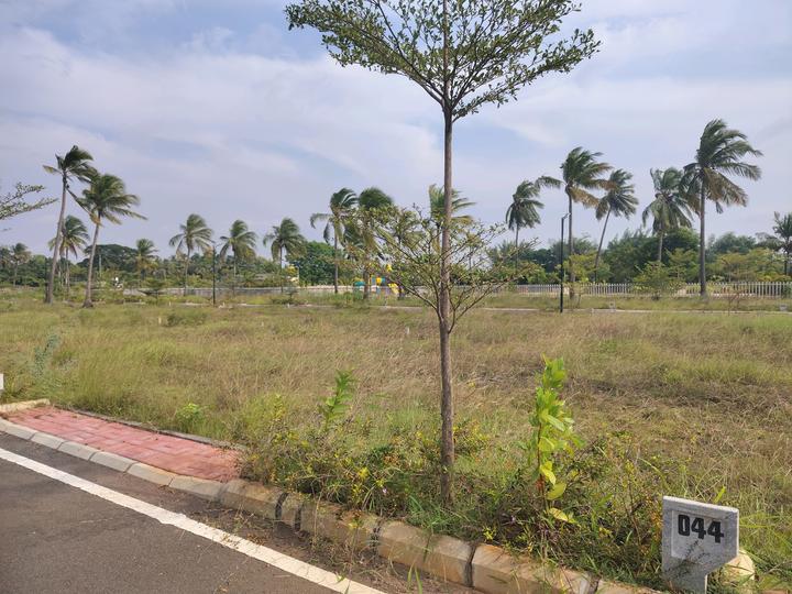 Anand Green Grove Avenue Main Image 1