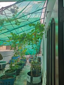 Balcony Image of 1800 Sq.ft 3 BHK Independent House for sale in Sector 117 Mohali for Rs. 25000000