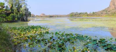 Image of 5989 Sq.ft Residential Plot / Land for sale in Harohalli, Ramnagara, Bengaluru for Rs. 7181411
