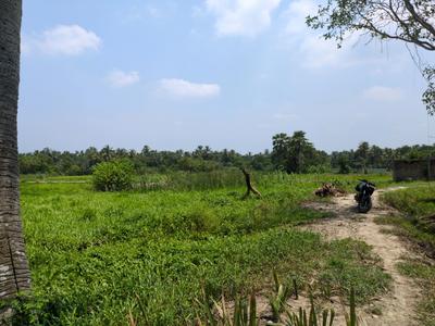 Residential Plot