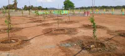Image of 10410 Sq.ft Residential Plot / Land for sale in Chengalpattu, Chennai for Rs. 3747600