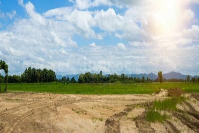 Image of 900 Sq.ft Residential Plot / Land for sale in ASM Shree Jaswant Garden, Sector 14, Panchkula for Rs. 6799900