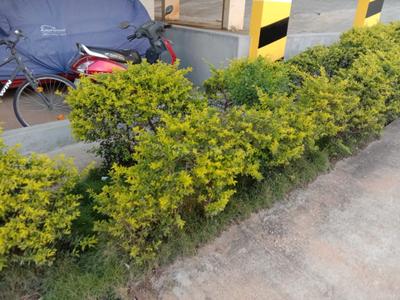 Image of 1350 Sq.ft 3 BHK Apartment / Flat for sale in Apartment, Bommasandra, Bengaluru for Rs. 5700000