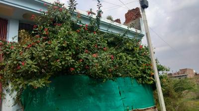 Image of 1500 Sq.ft 3 BHK Independent House for sale in Morar Cantt., Gwalior for Rs. 5200000