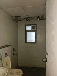 Common Bathroom Image of 909 Sq.ft 2 BHK Apartment / Flat for sale in Lodha Casa Rio by Lodha Group, Palava Phase 1 Thane for Rs. 5200000