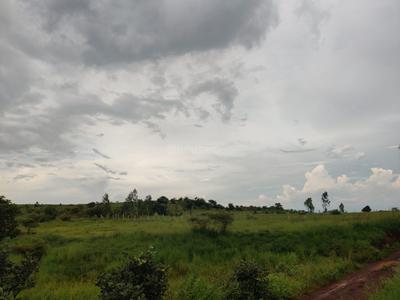 Image of 650 Sq.ft Residential Plot / Land for sale in Mominpet, Vikarabad for Rs. 5200000