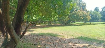 Image of 21600 Sq.ft Residential Plot / Land for sale in Panaiyur, Sholinganallur, Chennai for Rs. 200000000
