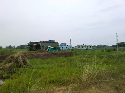 Dream city Plot View 2