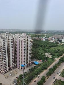 Balcony Image of 800 Sq.ft 2 BHK Apartment / Flat for sale in Gaurs Siddhartham, Siddharth Vihar Ghaziabad for Rs. 10000000