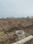 Rajat Pride Plot View 2